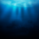 Image for article titled Meet The Scariest Inhabitant Of The Great Pacific Garbage Patch